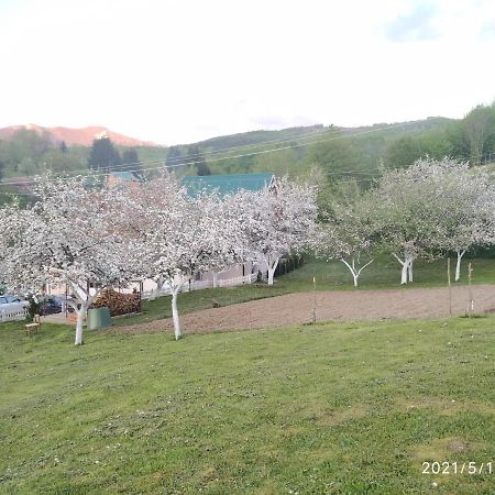Apartments & Rooms Bojic Kolašin Kültér fotó