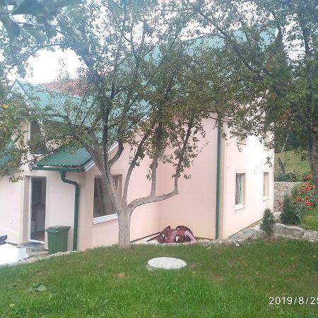 Apartments & Rooms Bojic Kolašin Kültér fotó
