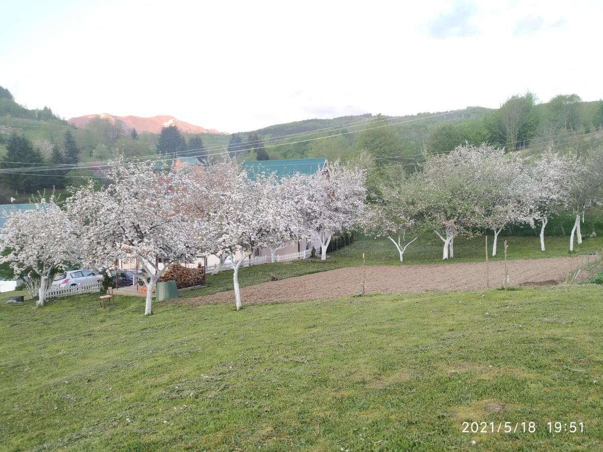 Apartments & Rooms Bojic Kolašin Kültér fotó